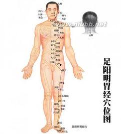 穴位养生视频,揭秘人体健康密码