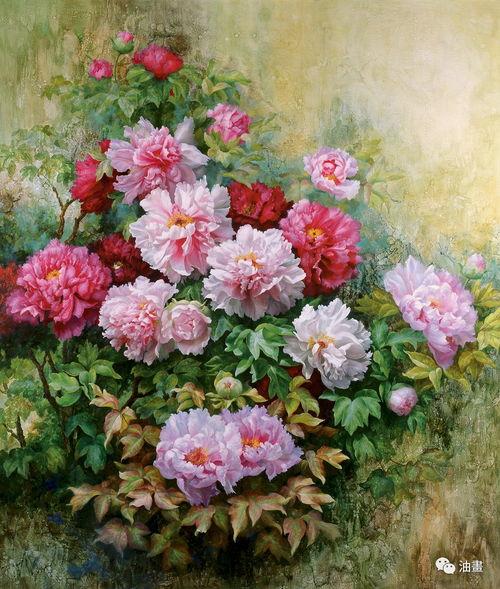 如何画牡丹视频教程,从零基础到精美作品的步骤解析