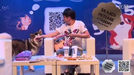 戴更基视频,揭秘成功背后的智慧与策略