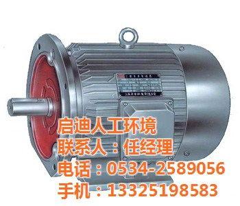 电机人工下线视频