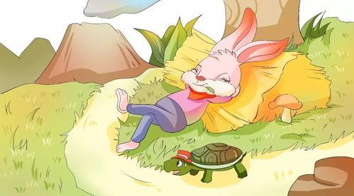 新龟兔赛跑视频,智慧与勇气的现代演绎