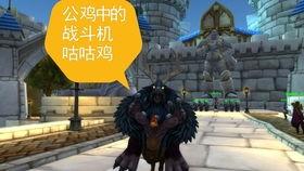 鸟德视频,揭秘鸟类世界的奇妙与智慧