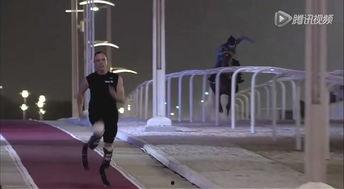 阿拉伯赛马视频