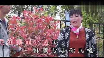 杨海视频